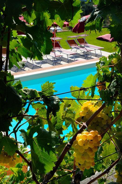 Villa Poggio Dei Gorleri Diano Marina Exterior foto